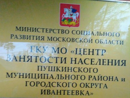 Выездное мероприятие в Центр занятости населения Пушкинского муниципального района